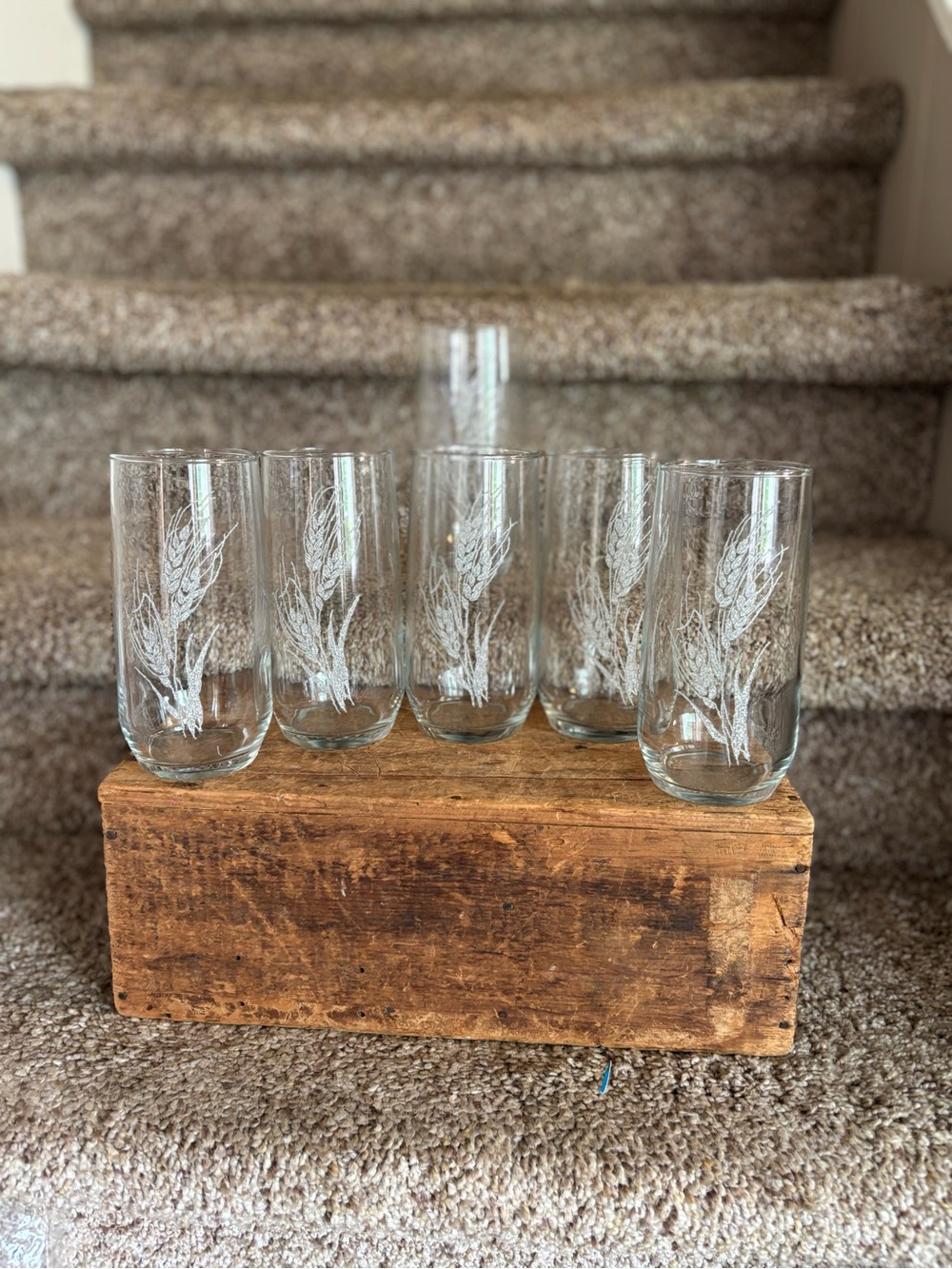 Set of 6 Clear Etched Wheat Highball Glasses - Clear